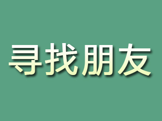 平鲁寻找朋友